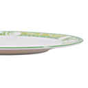 Plato extendido 10" 24.5 cm melamina Bambú Verde Clorofila