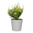 Planta artificial con maceta 14 cm Home Sweet Home (20) @