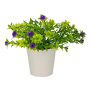 Planta artificial con maceta 14 cm Home Sweet Home  (72/120) @