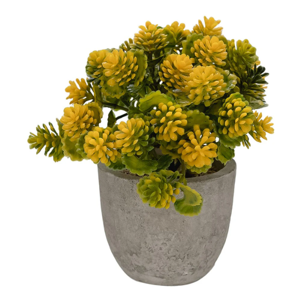 Planta artificial con maceta 12 cm Home Sweet Home (20) @
